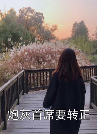 傻妻逃跑后，总裁悔疯了童盼生宋廷斯完结版小说